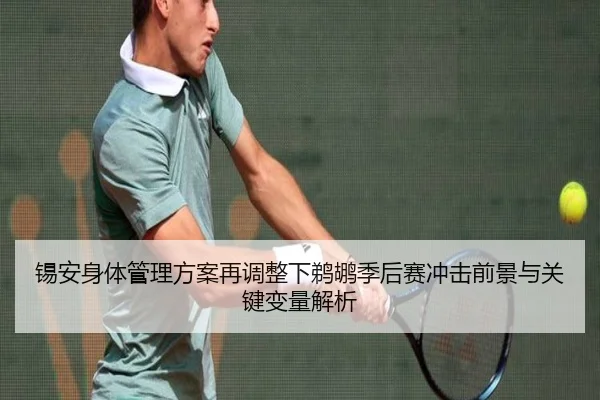 锡安身体管理方案再调整下鹈鹕季后赛冲击前景与关键变量解析